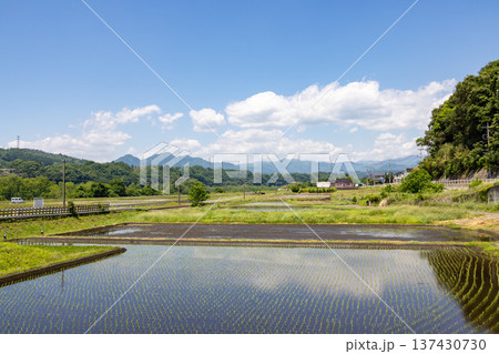 田植えされたばかりの水田に青空が映り込む日本の田舎の原風景 137430730