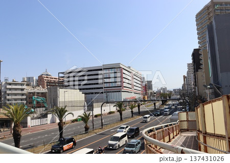 堺市安井町のフェニックス通り 堺市安井町のフェニックス通り 137431026