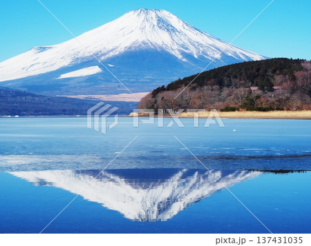 山梨県　凍結した山中湖の逆さ富士　2月 137431035