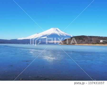 山梨県　冬の朝の結氷した山中湖と富士　2月 137431037