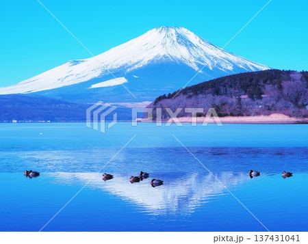 山梨県　真冬の山中湖の景色　2月 137431041