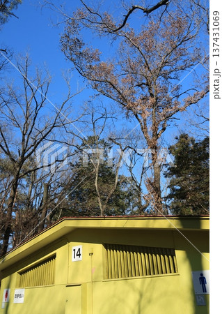 武蔵丘陵森林公園14番トイレの建物 武蔵丘陵森林公園14番トイレの建物 137431069