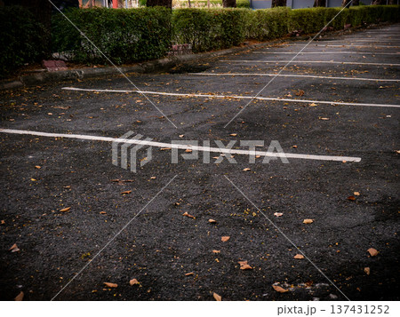 Empty Asphalt Parking Lot with White Lines and Autumn Leaves on Ground Empty Asphalt Parking Lot with White Lines and Autumn Leaves on Ground 137431252