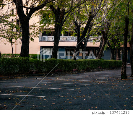 Parking Area with Trees and Modern Residential Building in Background 137431253