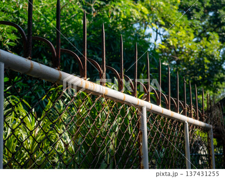 Weathered Chain Link Fence with Rusty Metal Security Spikes on Top 137431255