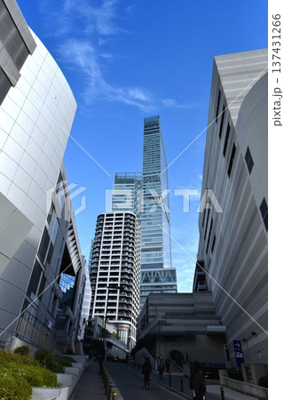 あべのハルカスと青空 137431266