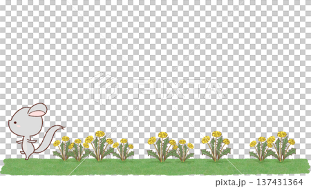 タンポポの中を歩くチンチラのイラスト 137431364