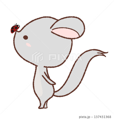 テントウムシを鼻にのせたチンチラのイラスト 137431368
