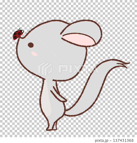 テントウムシを鼻にのせたチンチラのイラスト 137431368