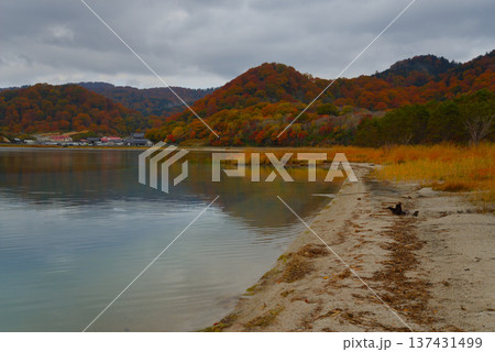 晩秋の恐山(青森県むつ市) 晩秋の恐山(青森県むつ市) 137431499