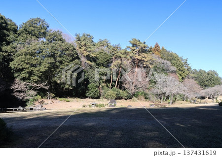 国営武蔵丘陵森林公園の風景 137431619