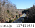 森林公園を立体交差で横切る道路 137431621