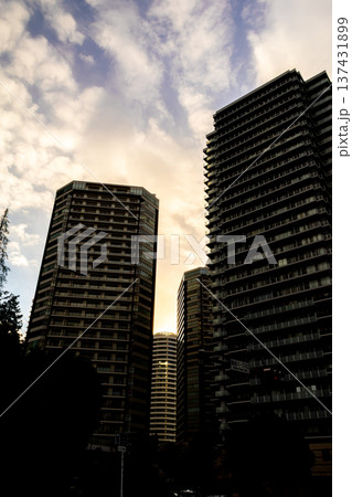 夕日にと高層マンション群のシルエット 137431899