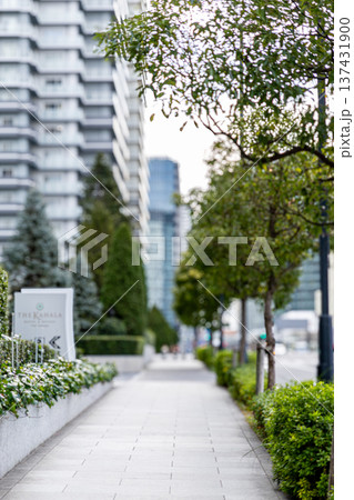 横浜　マンションのある風景 137431900
