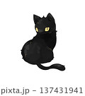 黒猫 137431941