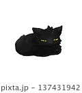 不機嫌そうな黒猫 137431942
