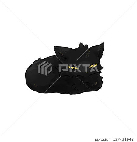 不機嫌そうな黒猫 不機嫌そうな黒猫 137431942