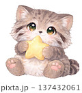 星を持ったマヌルネコのイラスト 137432061