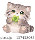 クローバーを持ったマヌルネコのイラスト 137432062