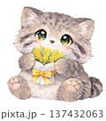 【国際女性デー】ミモザの花束を持ったマヌルネコのイラスト 137432063