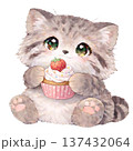 【誕生日】カップケーキを持ったマヌルネコのイラスト 137432064