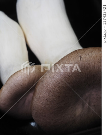 新鮮なきのこ・エリンギのアップ写真 137432421
