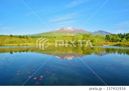 新緑の妙高高原いもり池・残雪の妙高山風景 137432916