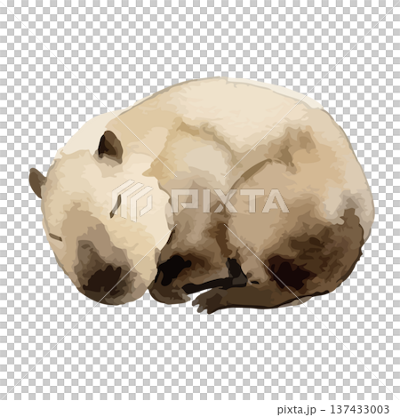 水豚的水彩插圖 水豚的水彩插圖 137433003