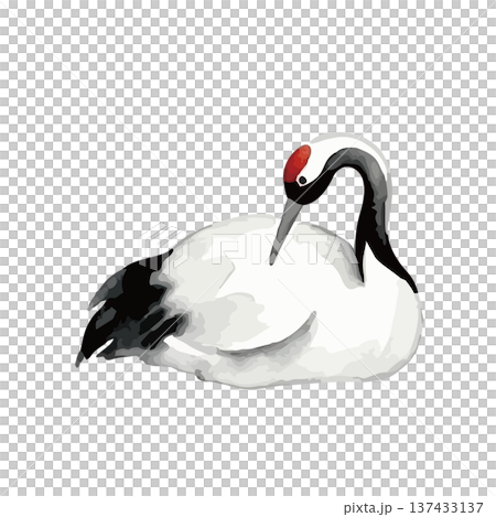 水彩風格的鶴插圖 137433137