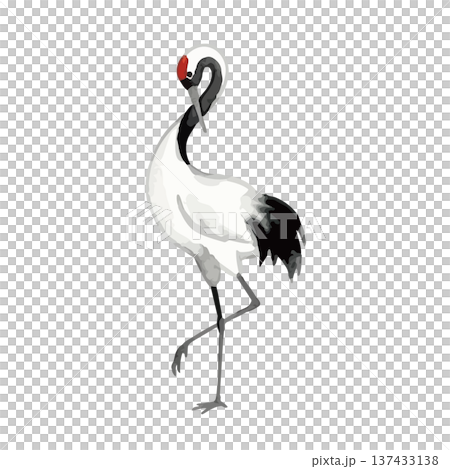 水彩風格的鶴插圖 137433138