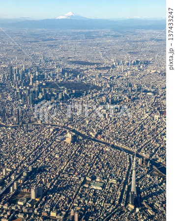 東京上空から望むスカイツリーと富士山の絶景 2026.1.29 東京都, 日本 東京上空から望むスカイツリーと富士山の絶景 2026.1.29 東京都, 日本 137433247