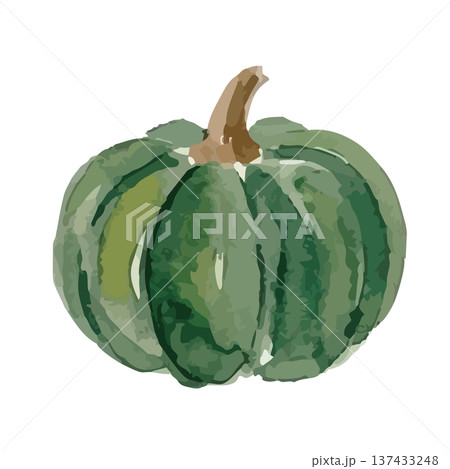 水彩風のかぼちゃイラスト 137433248