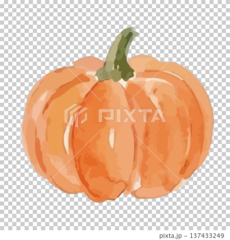 水彩南瓜插圖 137433249