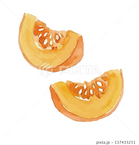 水彩風のかぼちゃイラスト 137433251