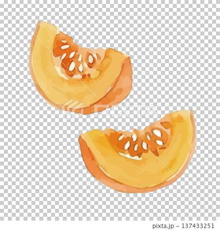 水彩風のかぼちゃイラスト 137433251