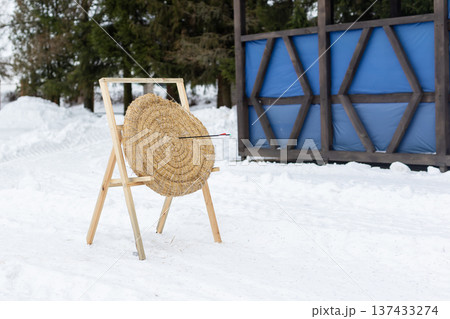 Serene winter tableau presenting straw bullseye on post surrounded by snow and pine trees Serene winter tableau presenting straw bullseye on post surrounded by snow and pine trees 137433274