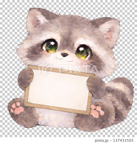 メッセージボードを持ったアライグマのイラスト 137433505