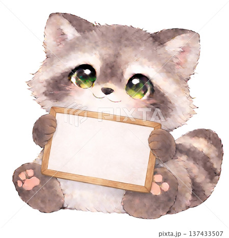 メッセージボードを持ったアライグマのイラスト 137433507
