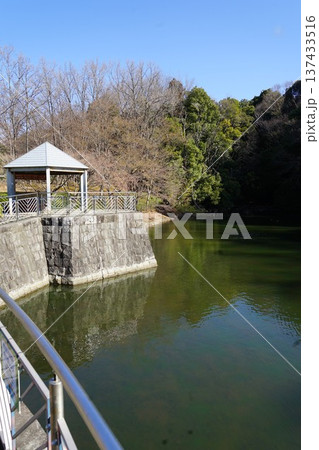 東京都町田市真光寺の真光寺公園の風景 東京都町田市真光寺の真光寺公園の風景 137433516