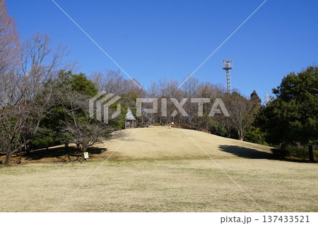 東京都町田市真光寺の真光寺公園の風景 東京都町田市真光寺の真光寺公園の風景 137433521