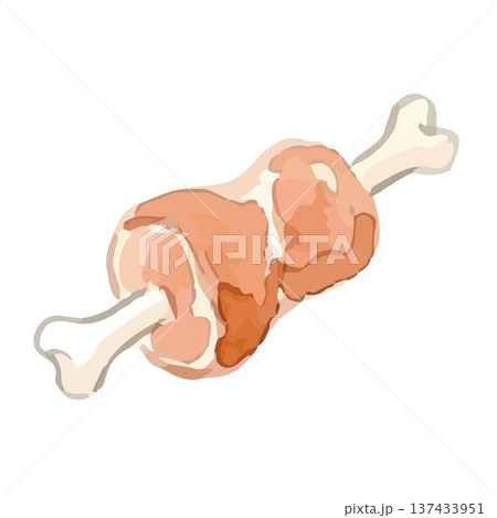 水彩風の骨付き肉のイラスト 137433951