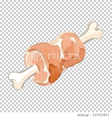 水彩風の骨付き肉のイラスト 137433951