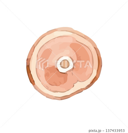水彩風の骨付き肉のイラスト 137433953