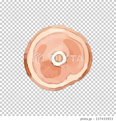 水彩風の骨付き肉のイラスト 137433953