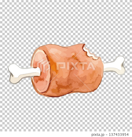 Watercolor style illustration of bone-in meat 137433954