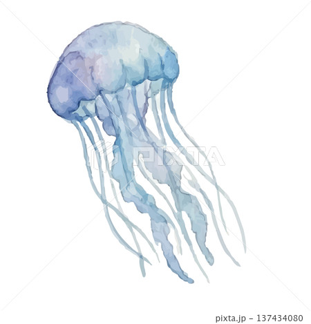 水彩風のクラゲのイラスト 137434080