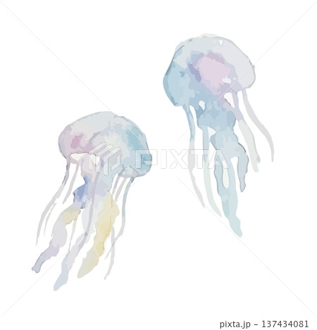 水彩風のクラゲのイラスト 137434081