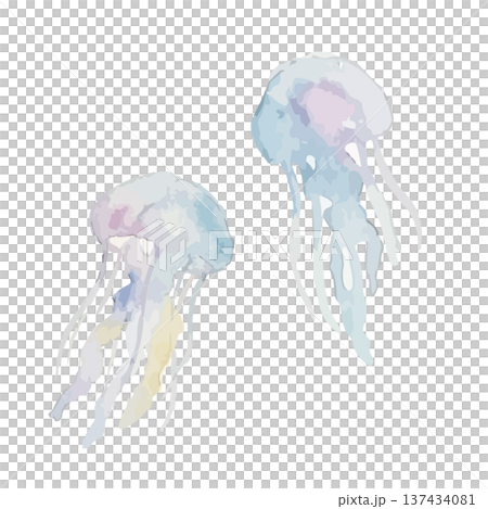水彩風のクラゲのイラスト 137434081