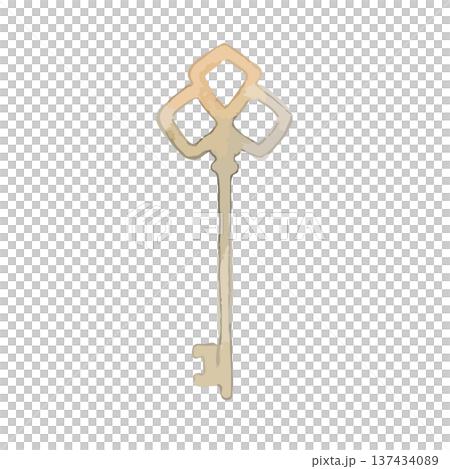Watercolor style key illustration 137434089