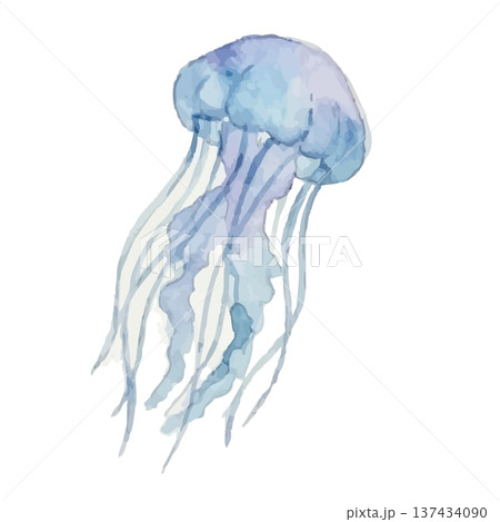 水彩風のクラゲのイラスト 水彩風のクラゲのイラスト 137434090